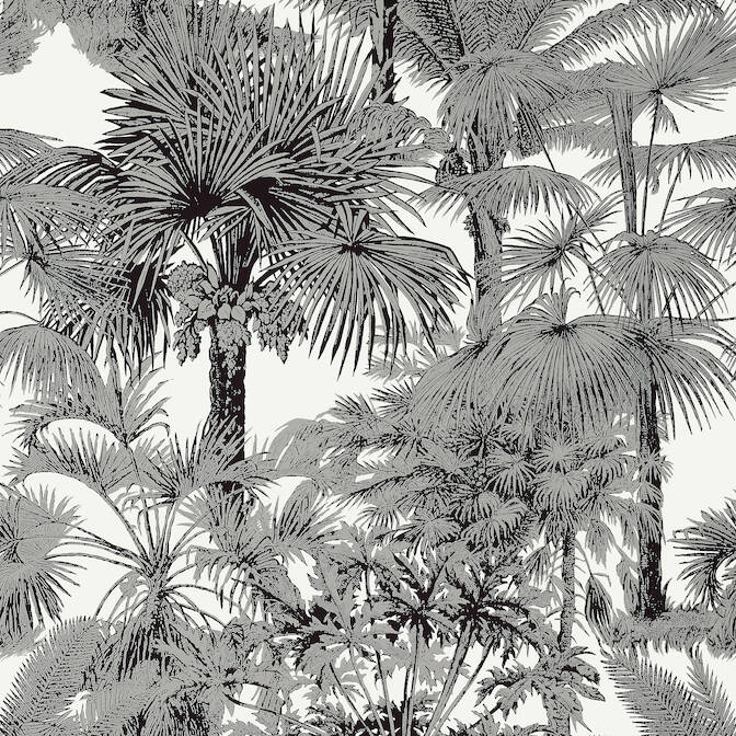 PALM BOTANICAL,Wallpaper Wallpaper| Thibaut Design