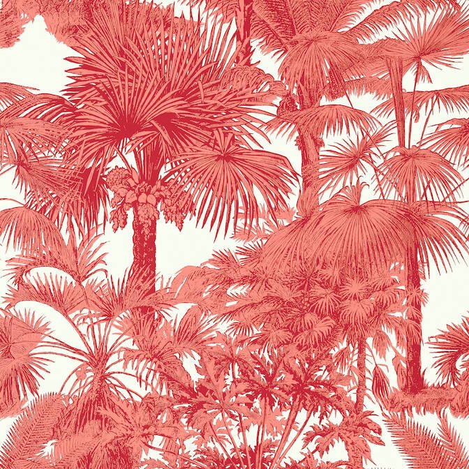 PALM BOTANICAL,Wallpaper Wallpaper| Thibaut Design