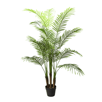 PALM TREE - 150cm - Al Rugaib Furniture