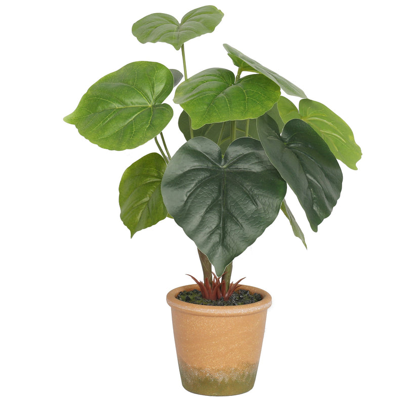 Potted Artificial Taro Plants 27CM Indoor - Al Rugaib Furniture