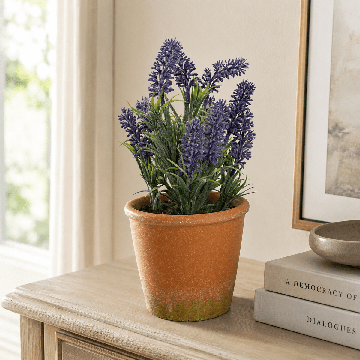 Potted Mini Lavender Plants 29CM Plants| Roots Furniture