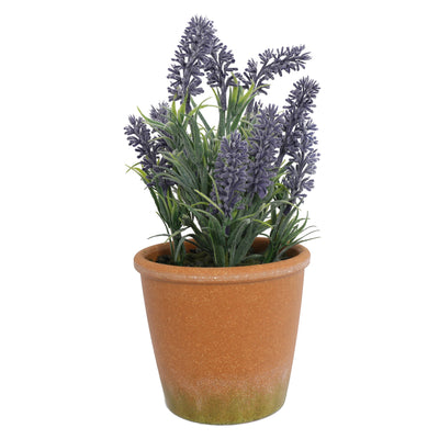 Potted Mini Lavender Plants 29CM - Al Rugaib Furniture