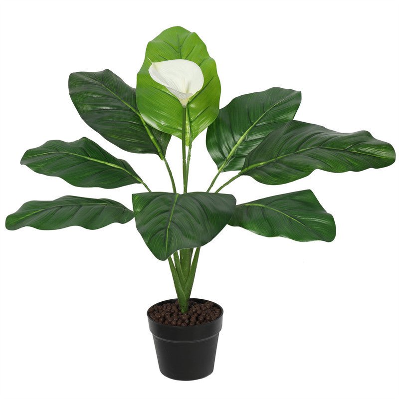 Premium Lily Flower 70CM Plants| Roots Furniture