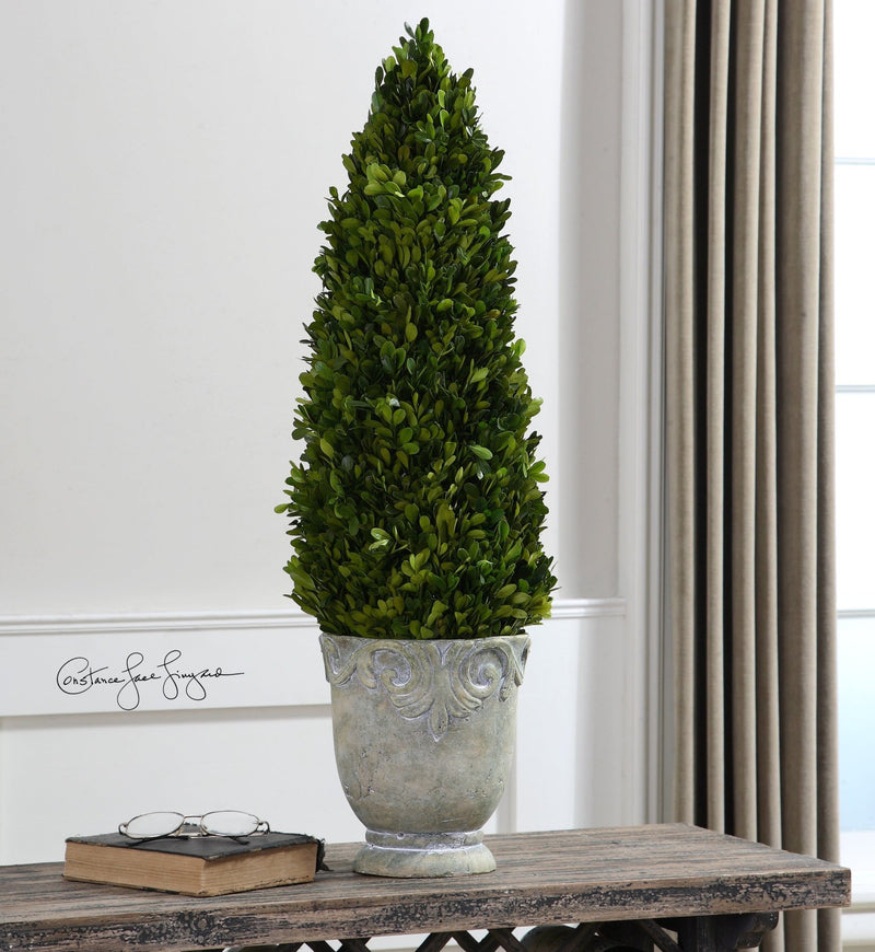 Preserved Boxwood Cone Topiary - Al Rugaib Furniture