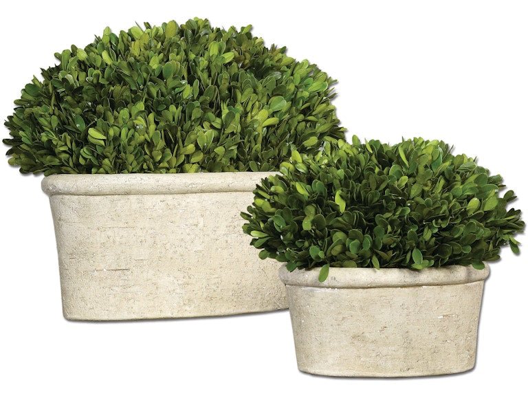 Boxwood Oval Domes, S/2 Plants| Uttermost