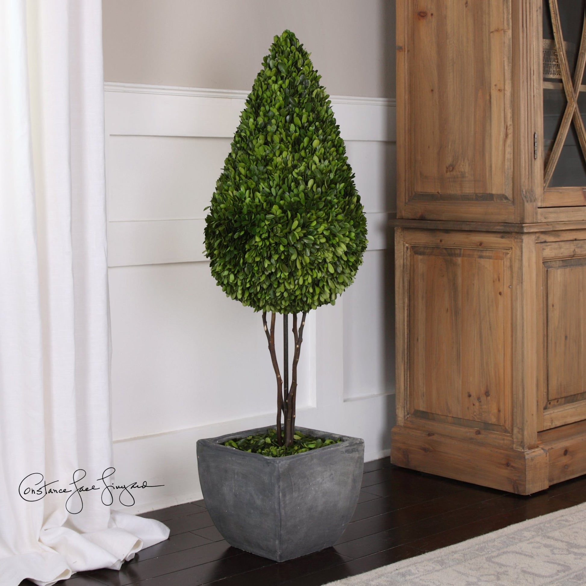 Preserved Boxwood, Teardrop Topiary Plants| Uttermost
