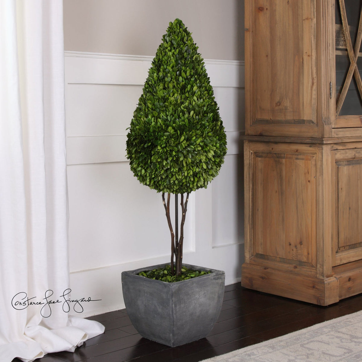 Preserved Boxwood, Teardrop Topiary Plants| Uttermost