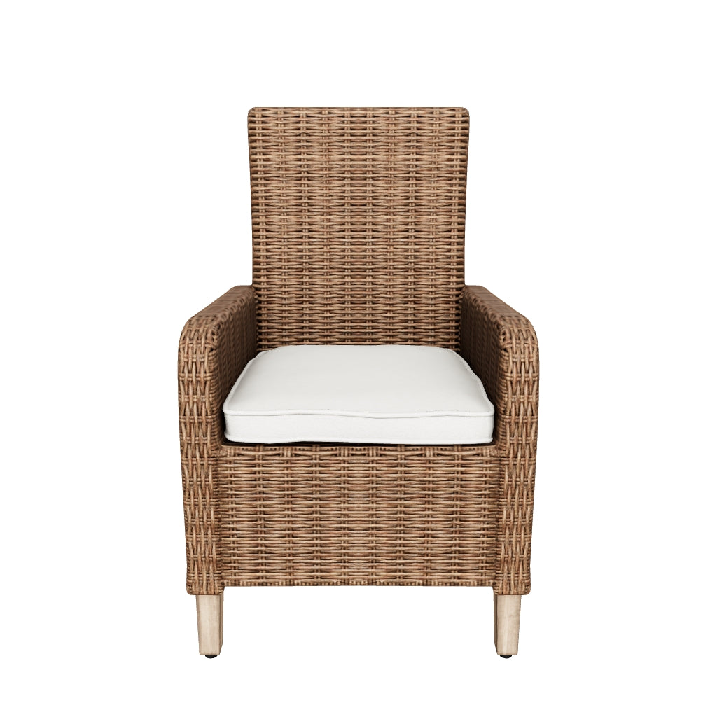 ARM CHAIR WITH CUSHION ( 2/C/N)