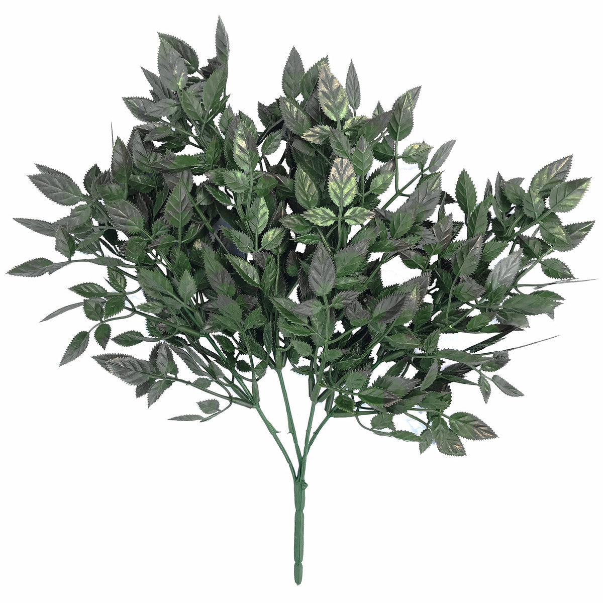 Rose leaves with thorns Plants| Roots Furniture