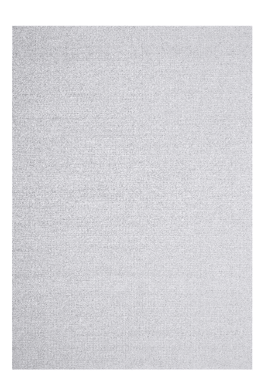 Rug 400*500 cm