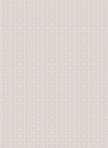 Rug 400*500 cm