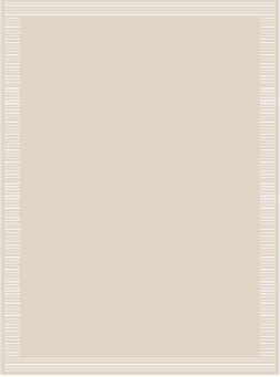 Rug 400*500 cm