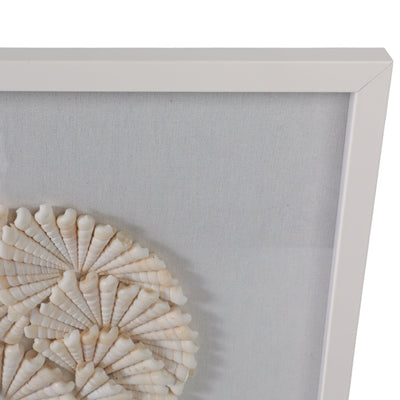 S/2 20x20 Atlantic Shell Shadowbox Art - Al Rugaib Furniture
