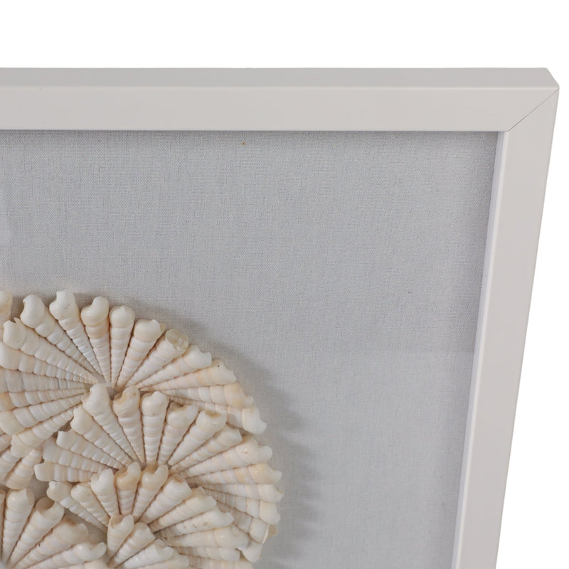 S/2 20x20 Atlantic Shell Shadowbox Art - Al Rugaib Furniture