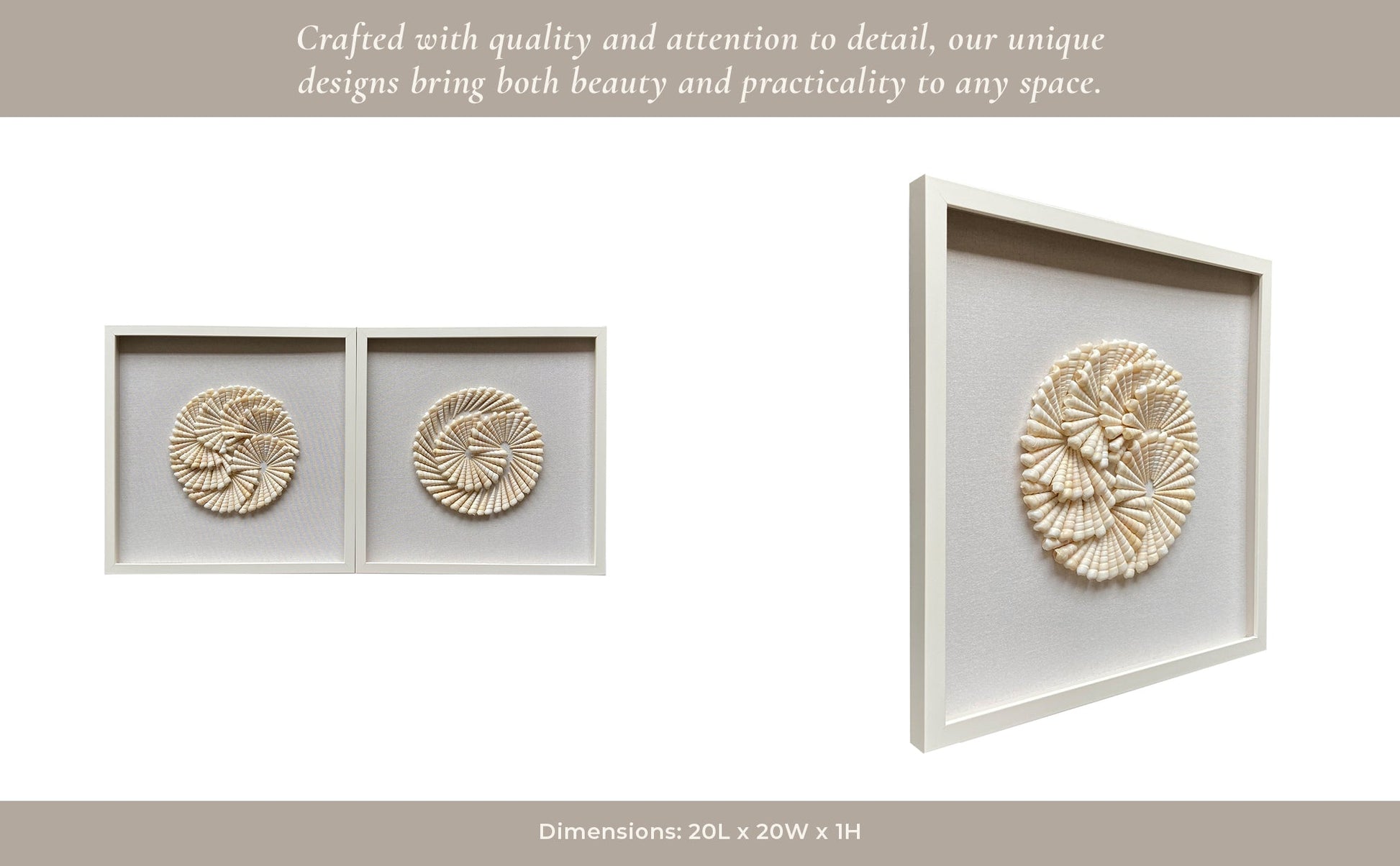 S/2 20x20 Atlantic Shell Shadowbox Art Wall Art| Sagebrook Home