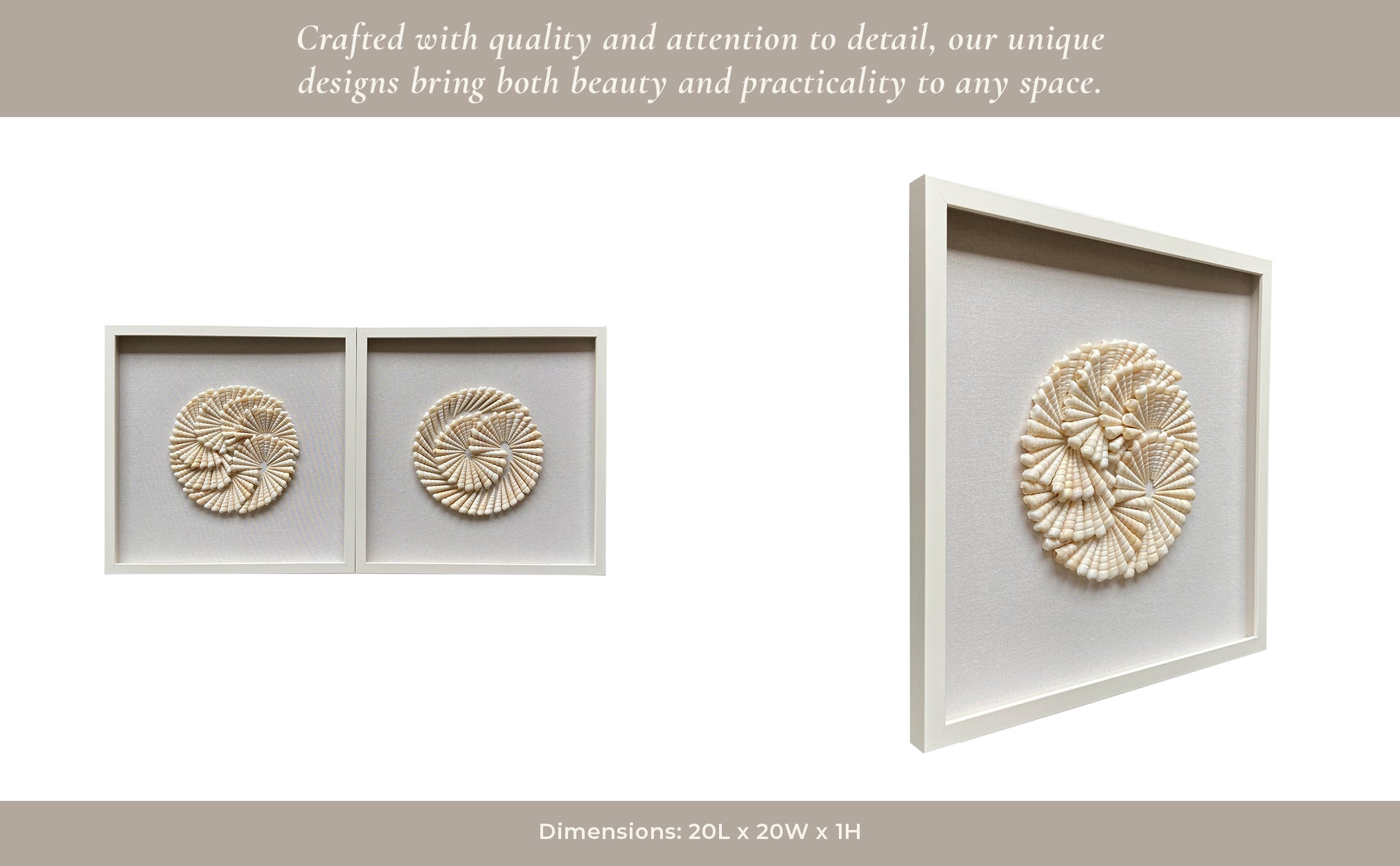 S/2 20x20 Atlantic Shell Shadowbox Art Wall Art| Sagebrook Home
