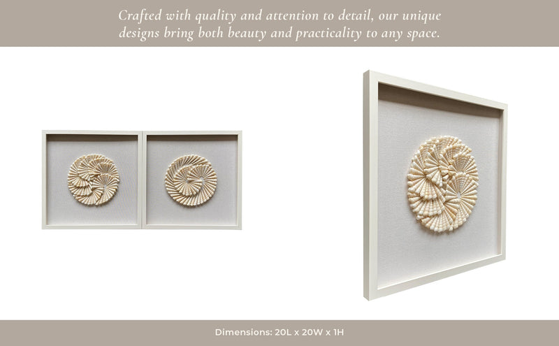S/2 20x20 Atlantic Shell Shadowbox Art - Al Rugaib Furniture