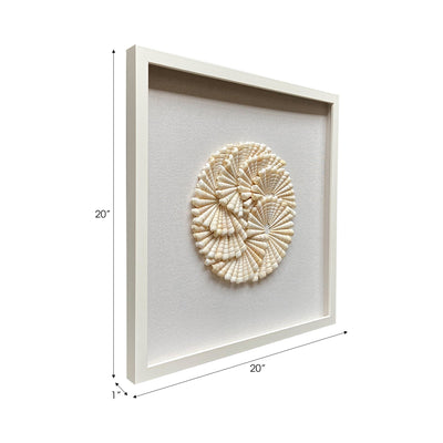 S/2 20x20 Atlantic Shell Shadowbox Art - Al Rugaib Furniture