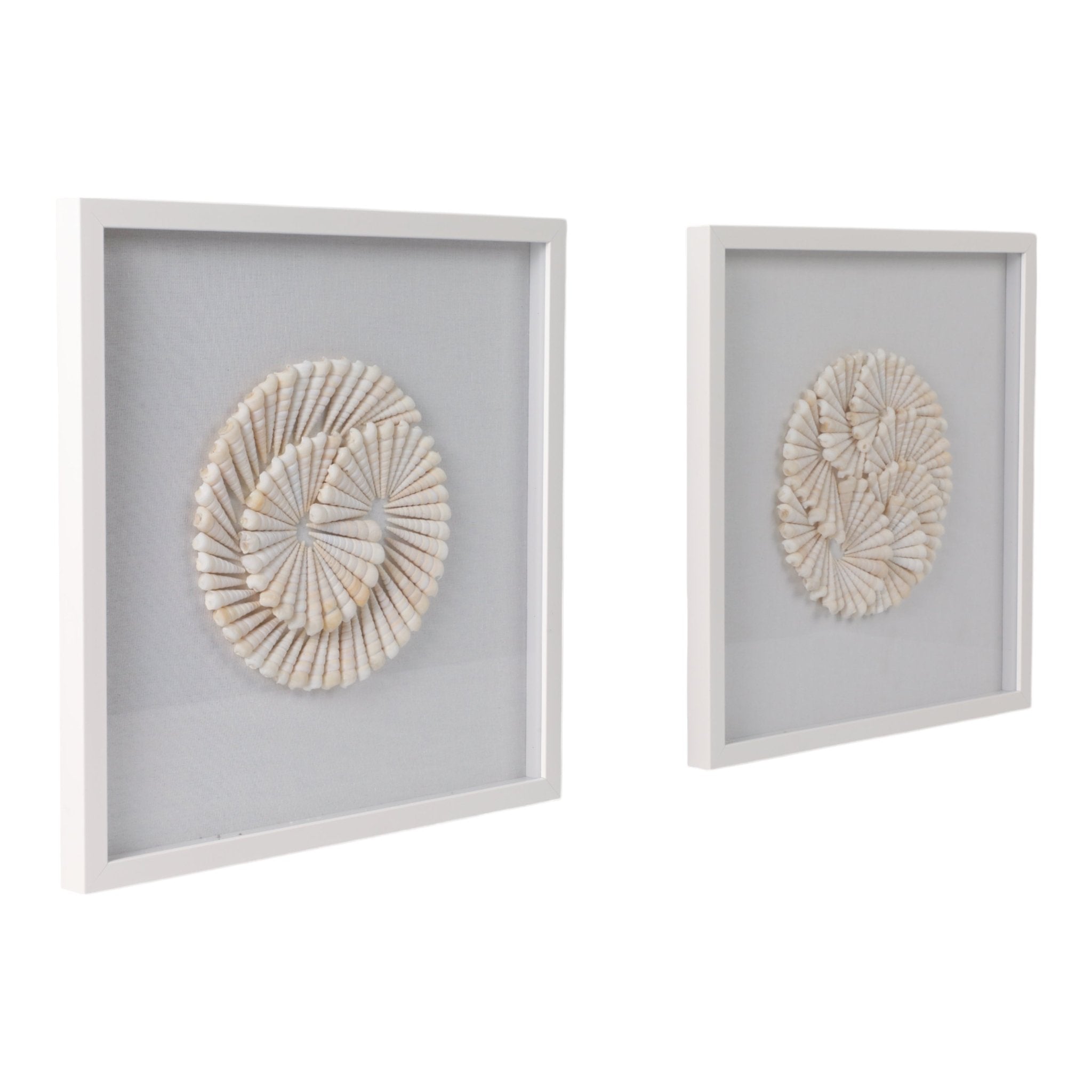 S/2 20x20 Atlantic Shell Shadowbox Art Wall Art| Sagebrook Home