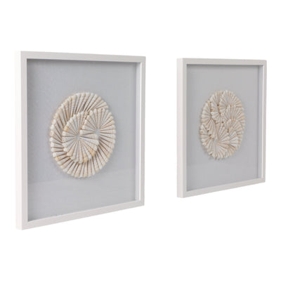 S/2 20x20 Atlantic Shell Shadowbox Art - Al Rugaib Furniture