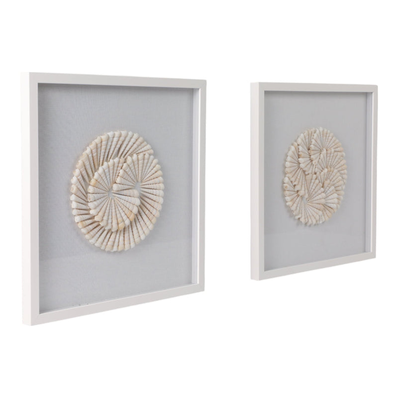 S/2 20x20 Atlantic Shell Shadowbox Art - Al Rugaib Furniture