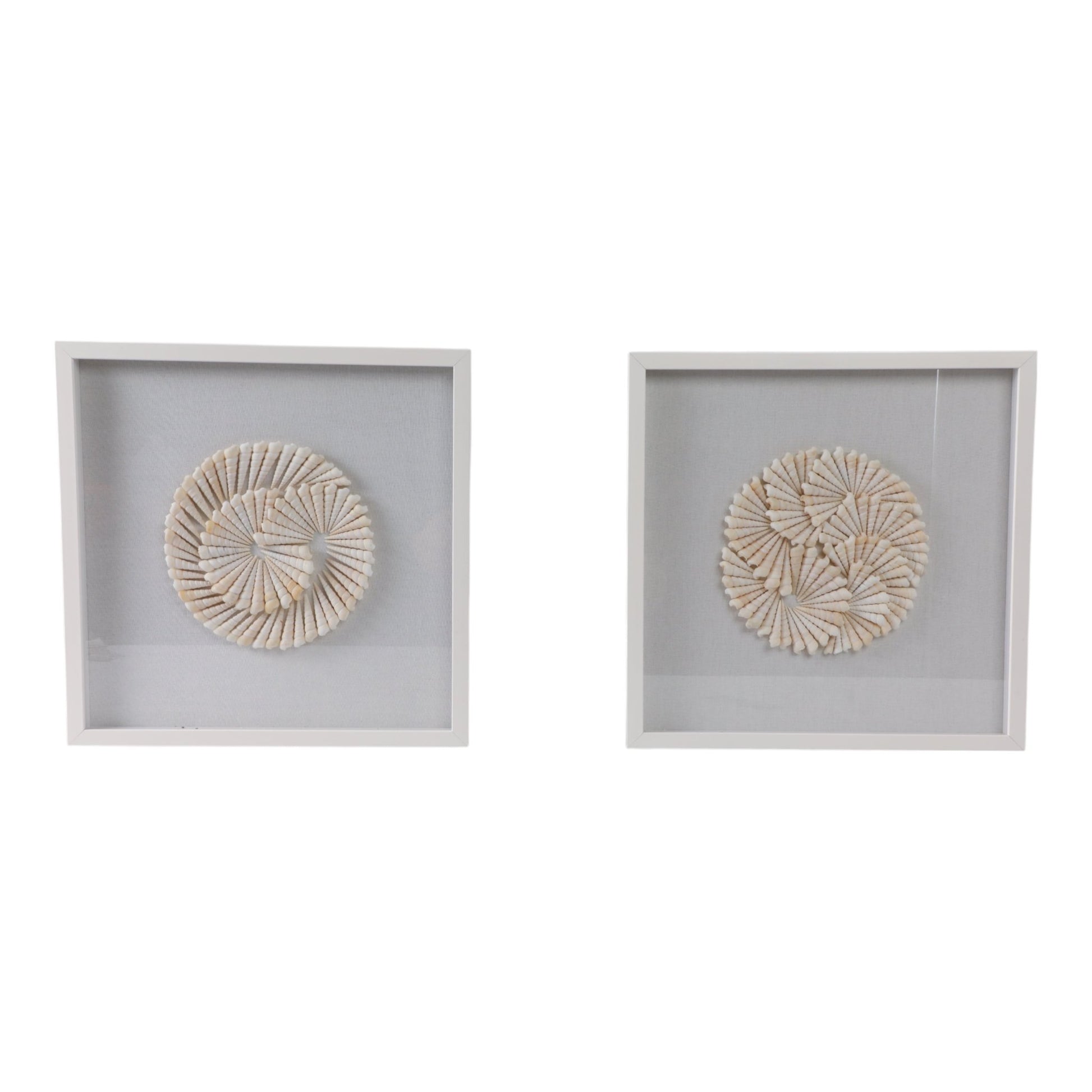 S/2 20x20 Atlantic Shell Shadowbox Art Wall Art| Sagebrook Home
