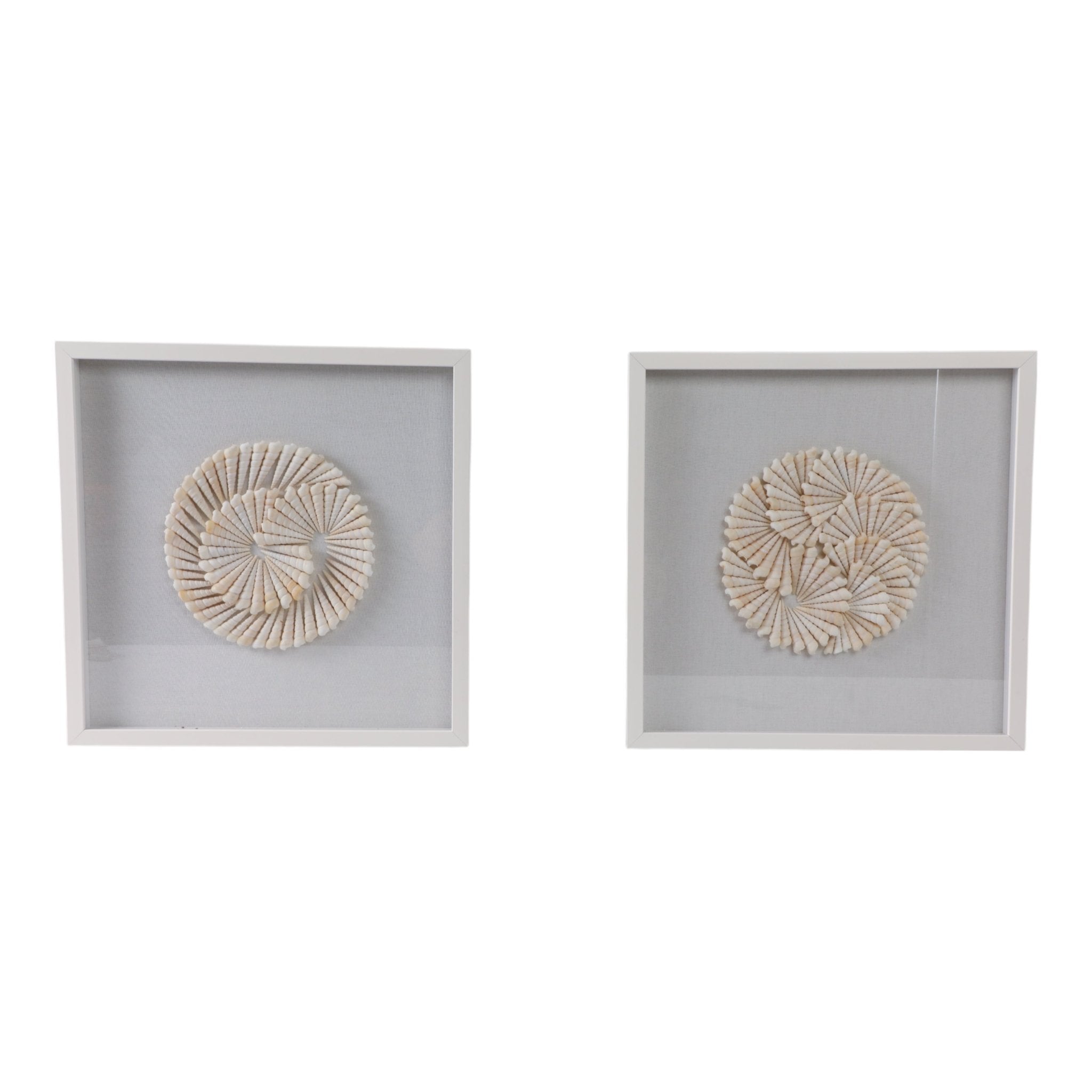 S/2 20x20 Atlantic Shell Shadowbox Art Wall Art| Sagebrook Home