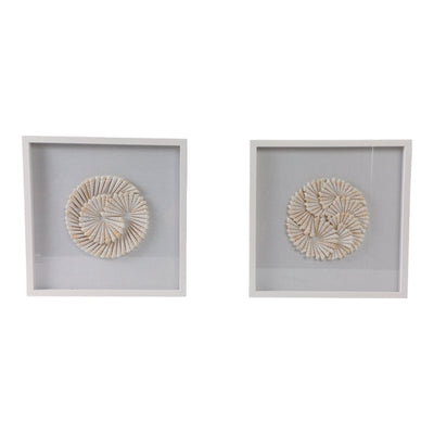 S/2 20x20 Atlantic Shell Shadowbox Art - Al Rugaib Furniture