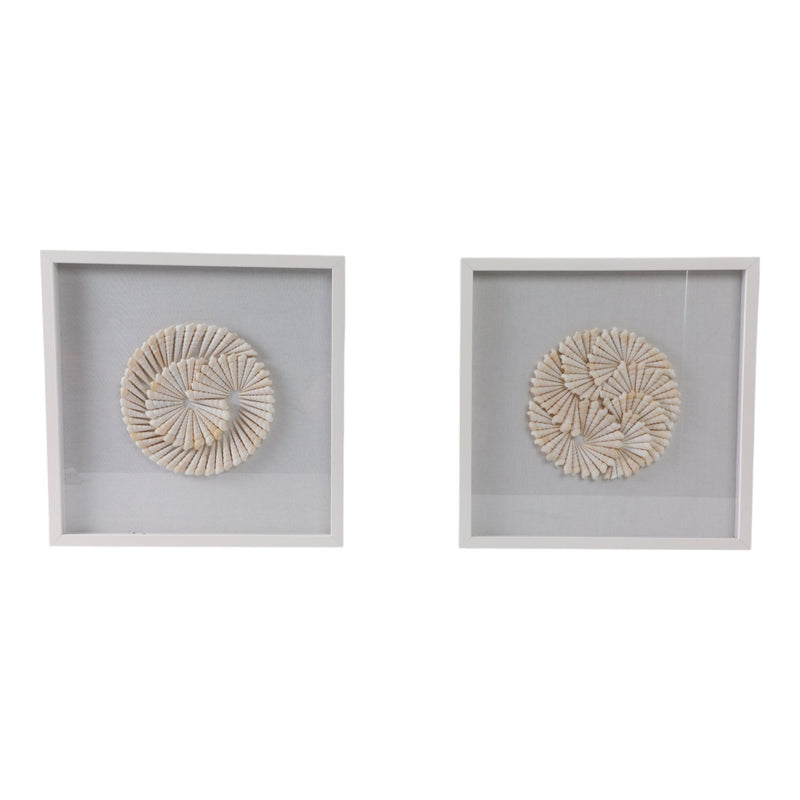 S/2 20x20 Atlantic Shell Shadowbox Art - Al Rugaib Furniture
