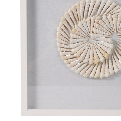 S/2 20x20 Atlantic Shell Shadowbox Art - Al Rugaib Furniture