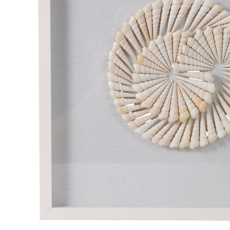 S/2 20x20 Atlantic Shell Shadowbox Art - Al Rugaib Furniture