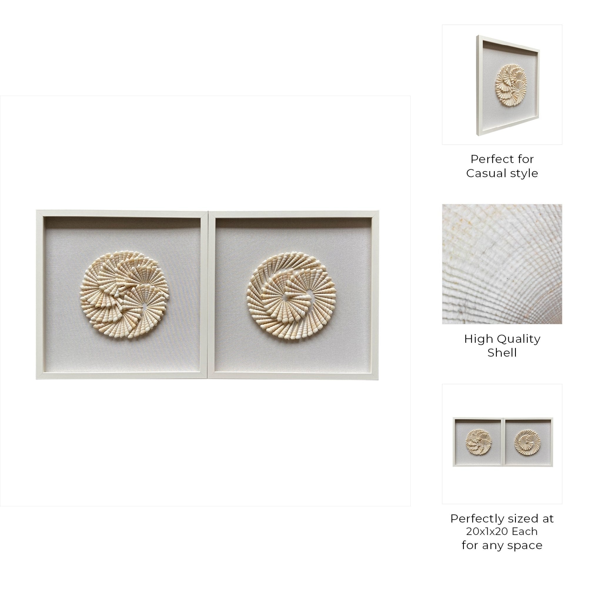 S/2 20x20 Atlantic Shell Shadowbox Art Wall Art| Sagebrook Home