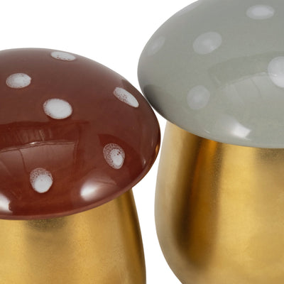 S/2 6 Oz Fig&apricot 6" Mushroom Candle,brwn/ivory - Al Rugaib Furniture