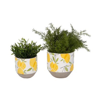 S/2 6/7" Growing Lemons Planter, Multi - Al Rugaib Furniture