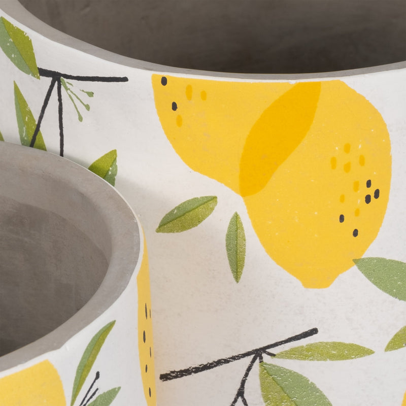 S/2 6/7" Growing Lemons Planter, Multi - Al Rugaib Furniture