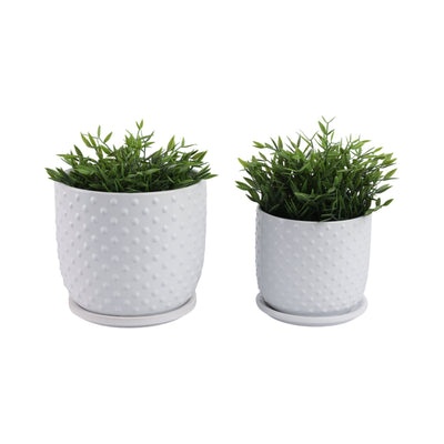 S/2 6/8" Tiny Dots Planter W/ Saucer, White - Al Rugaib Furniture