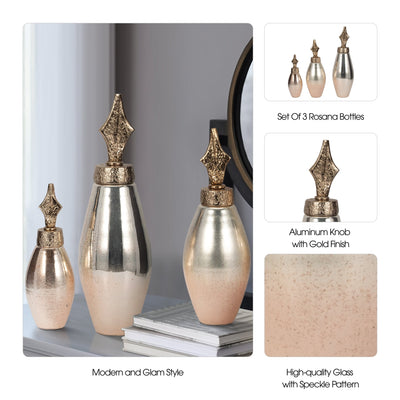S/3 12/17/21" Rosana Glass Bottles - Al Rugaib Furniture