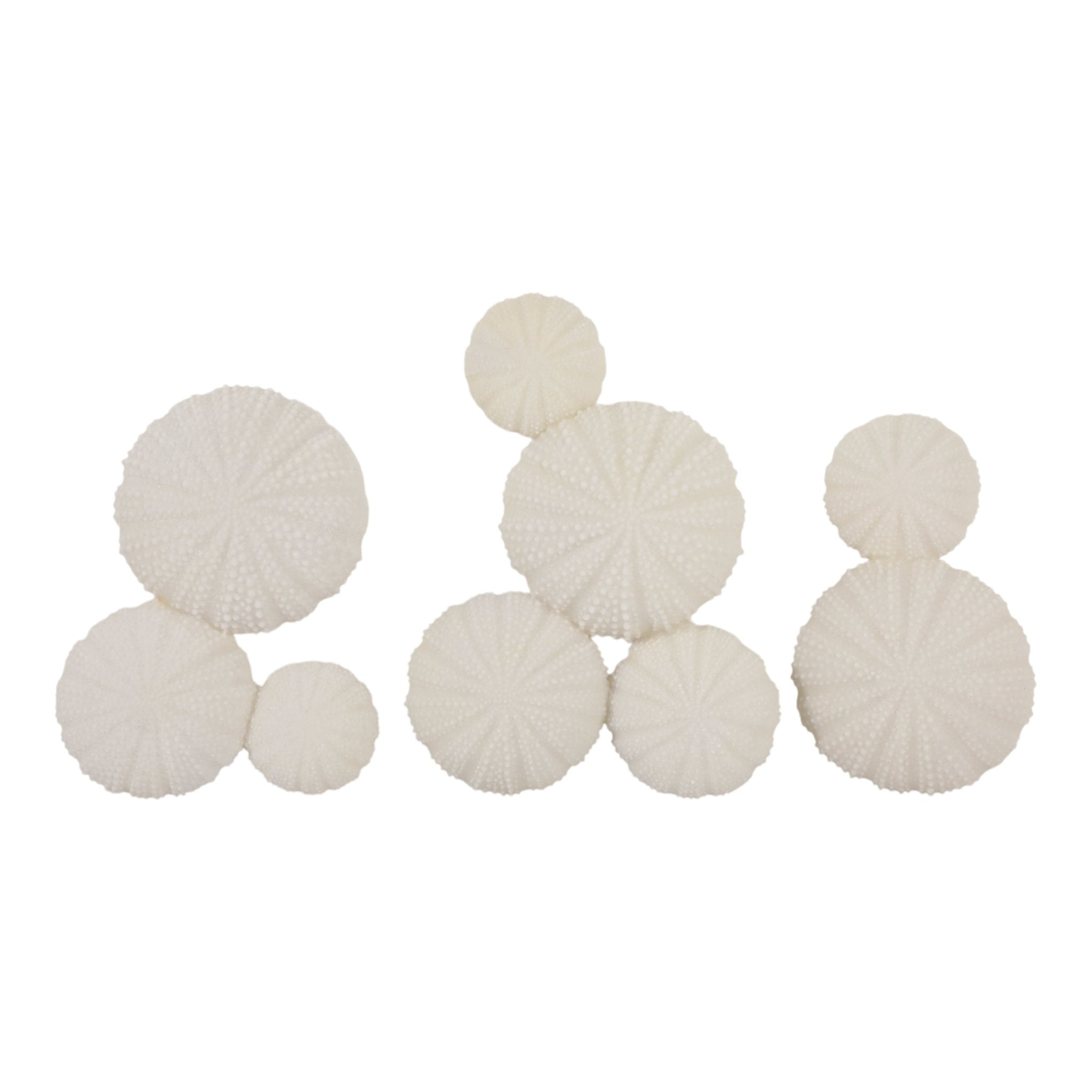 S/3 13" Venango Quartz Resin Sea Urchin Wall D?cor Wall Art| Sagebrook Home