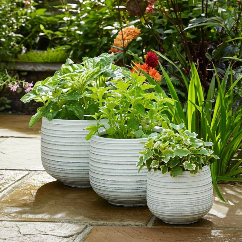 S/3 6/9/11" Ribbed Planters, White - Al Rugaib Furniture