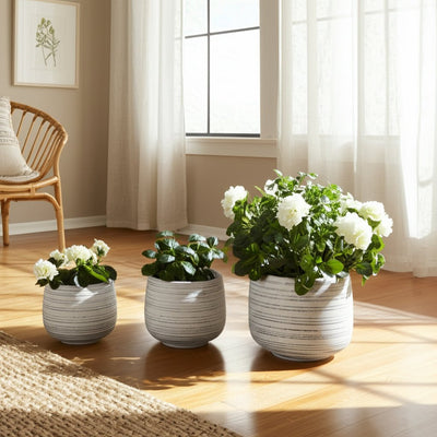 S/3 6/9/11" Ribbed Planters, White - Al Rugaib Furniture