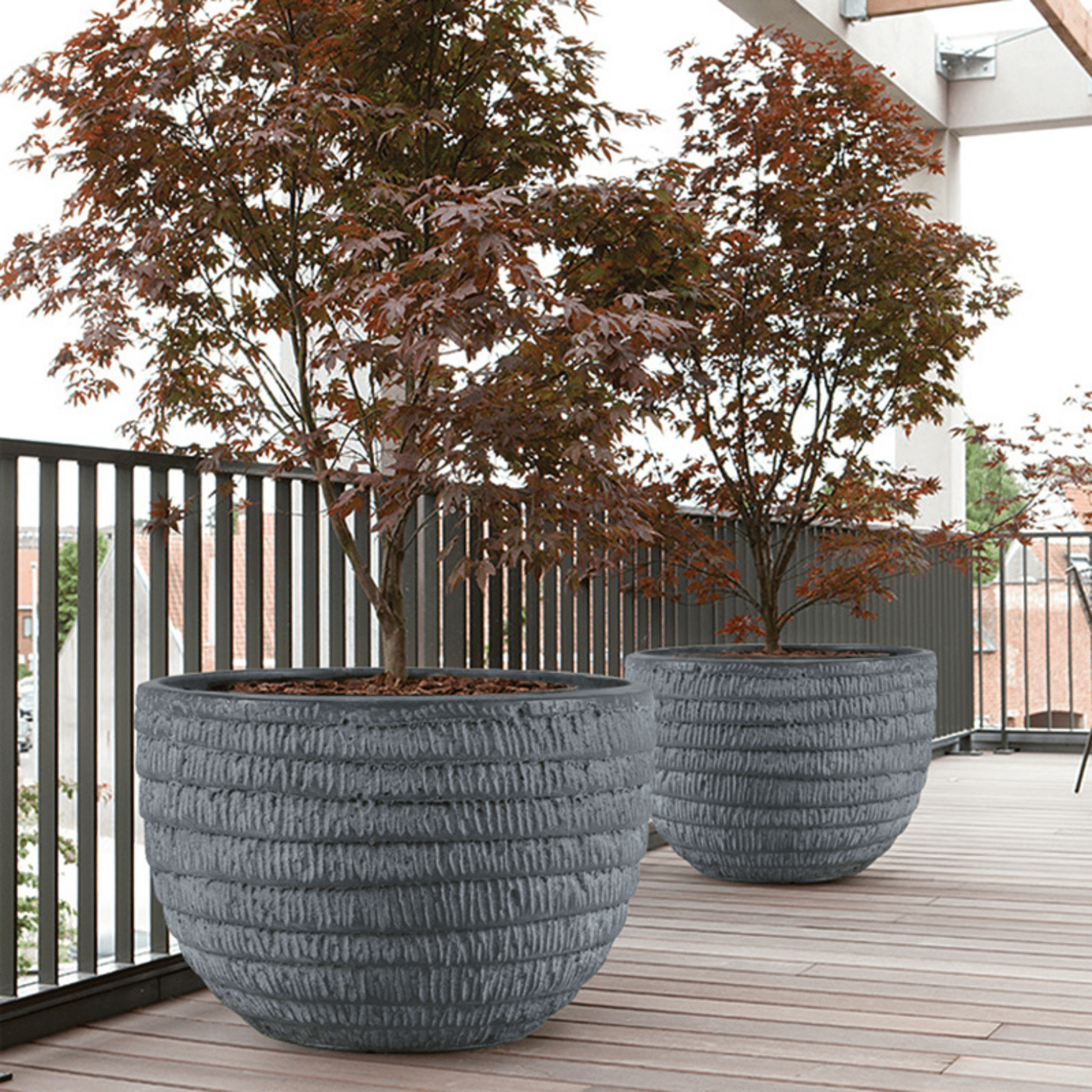 S/3 Glass fiber Cement Planter Planter| Roots Furniture