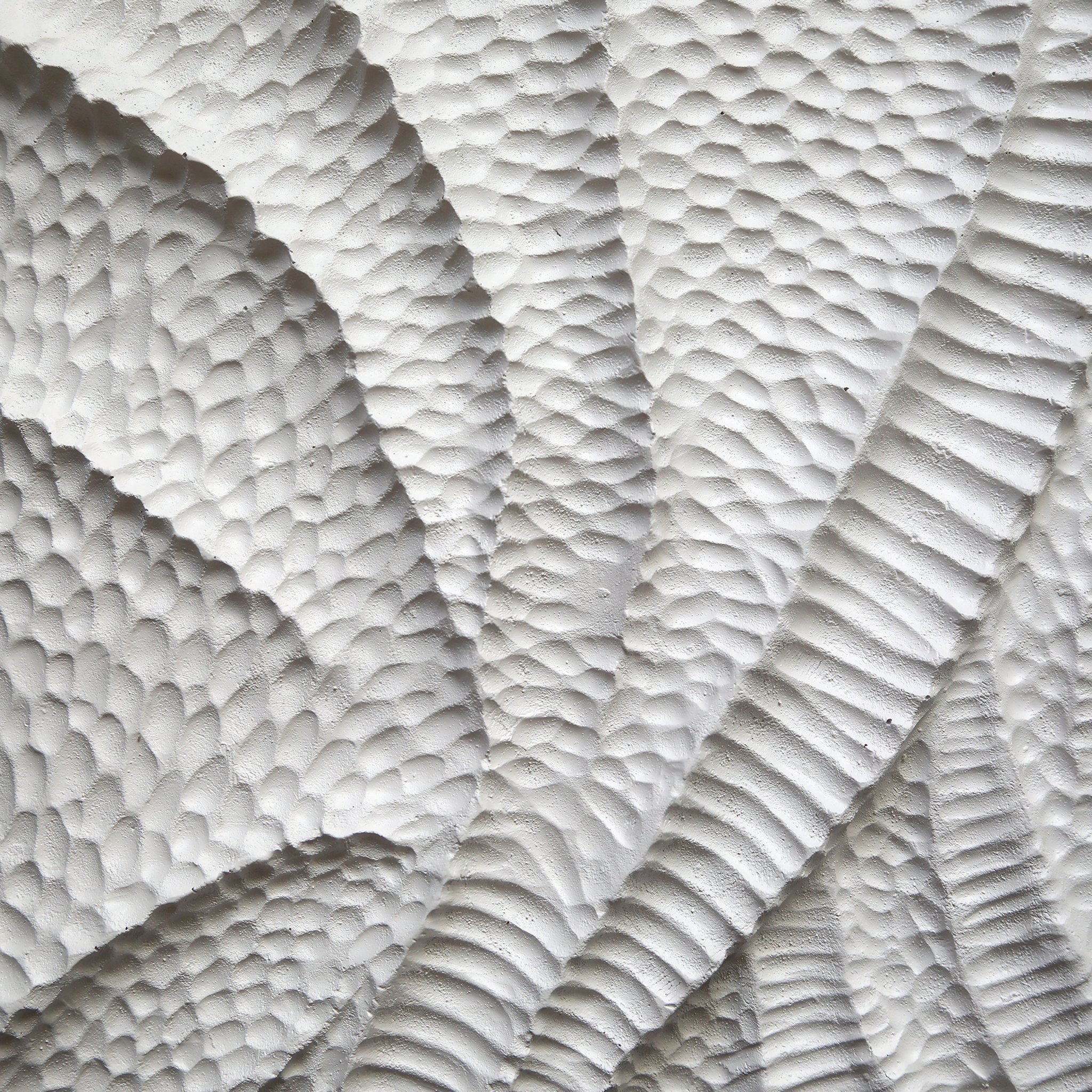 S/8 14x14" Majorca Shell Wall Panels Wall Art| Sagebrook Home