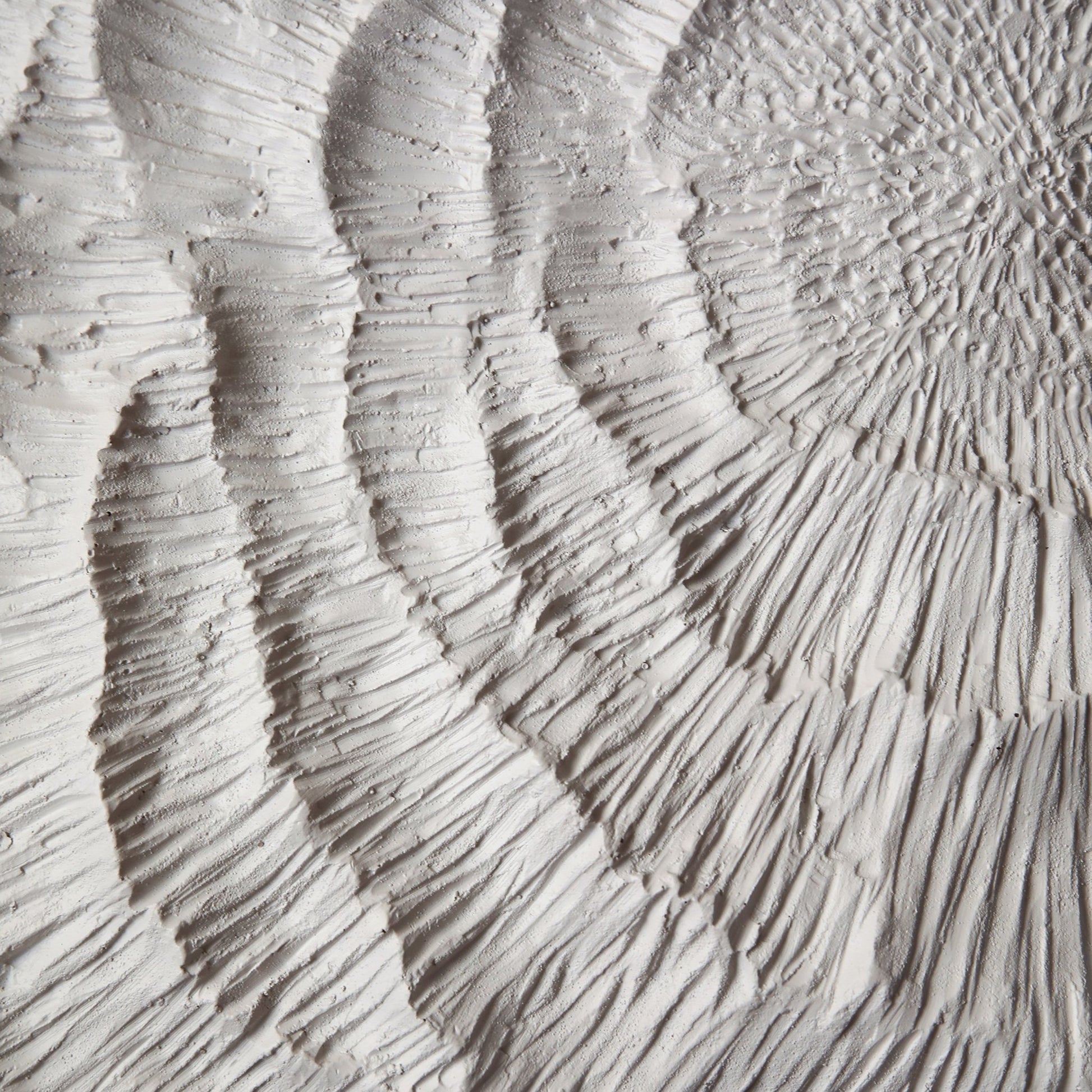 S/8 14x14" Majorca Shell Wall Panels Wall Art| Sagebrook Home
