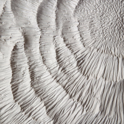 S/8 14x14" Majorca Shell Wall Panels - Al Rugaib Furniture