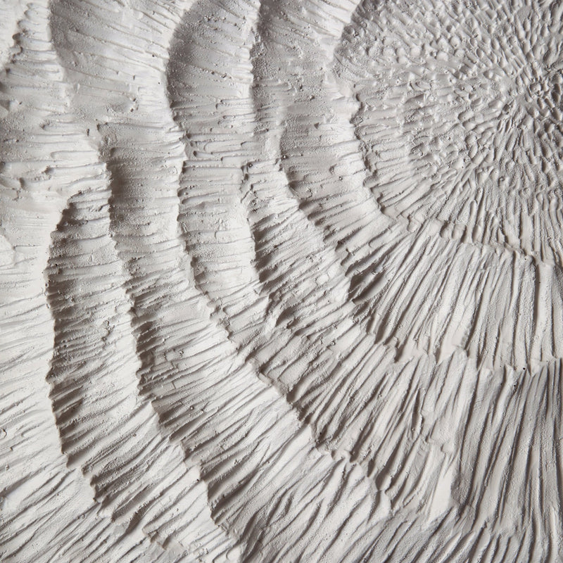 S/8 14x14" Majorca Shell Wall Panels - Al Rugaib Furniture