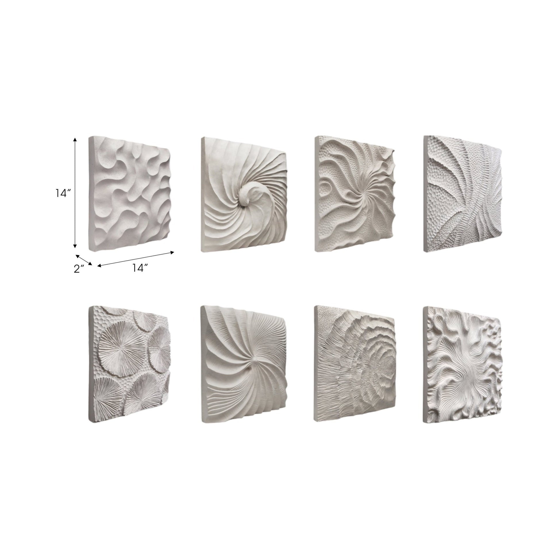 S/8 14x14" Majorca Shell Wall Panels Wall Art| Sagebrook Home