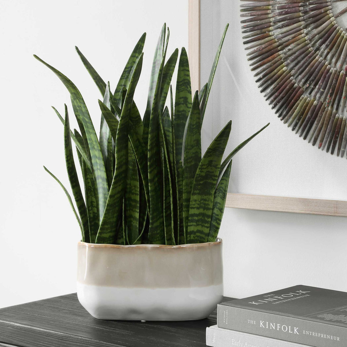 Sansera Snake Accent Plant Plants| Uttermost