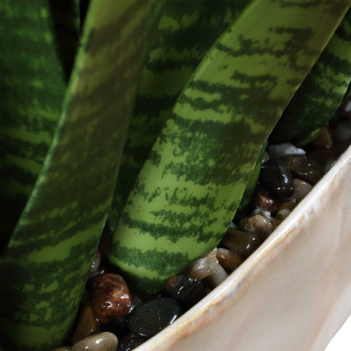 Sansera Snake Accent Plant Plants| Uttermost