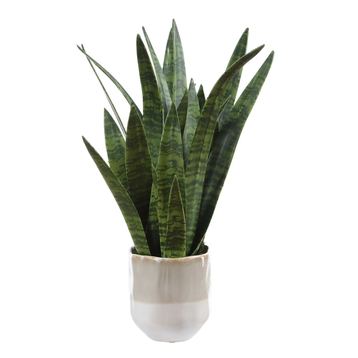 Sansera Snake Accent Plant Plants| Uttermost