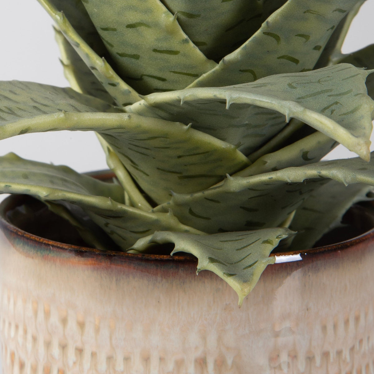 Seaside Succulents, S/2 Table Decors| Uttermost